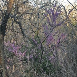 Meet your Posher, Harrison